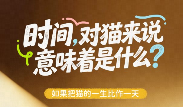 0c3137a0a4479b8d6f7d03ea28048ec7