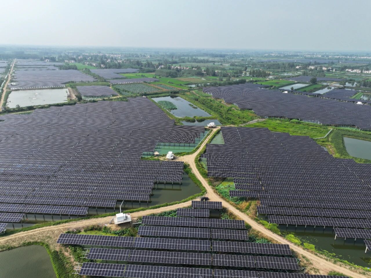 7841f3c38cc1a1ba8157f97886e500b6